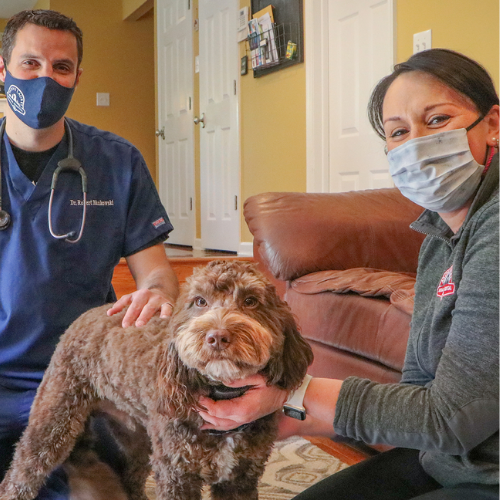 House call veterinary service form from McCallum Centre Animal Hospital