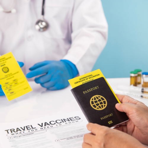 International Transfer Certificate form for McCallum Centre Animal Hospital
