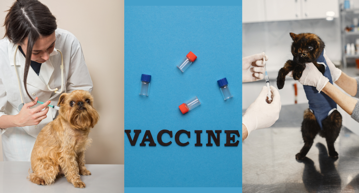 Pet-Vaccinations-Schedule-For-Dogs-And-Cats