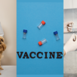 Pet-Vaccinations-Schedule-For-Dogs-And-Cats