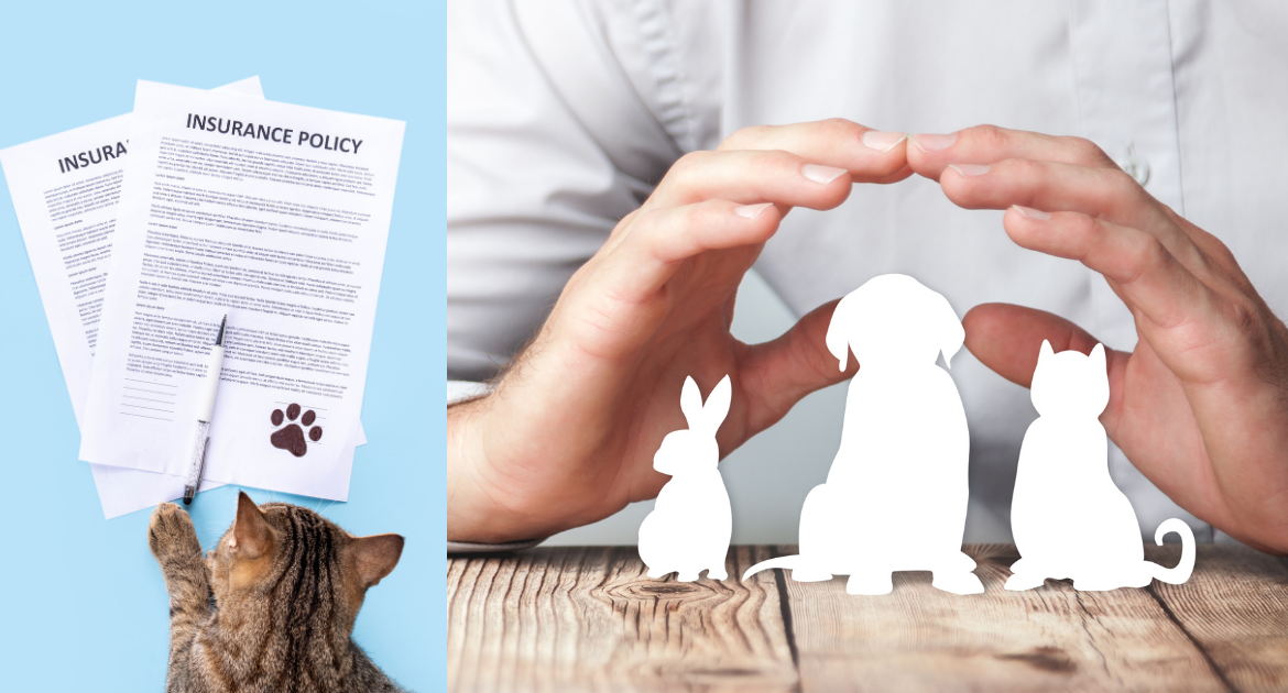 benefits-of-pet-Insurance