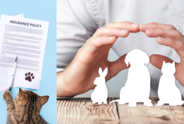 benefits-of-pet-Insurance